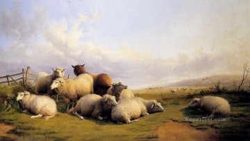 トーマス・シドニー・クーパー Painting - 広大な風景の中の羊 家畜 トーマス・シドニー・クーパー